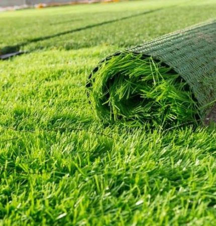 47bf2adde1e9ee62c98e2c7d25f00fda