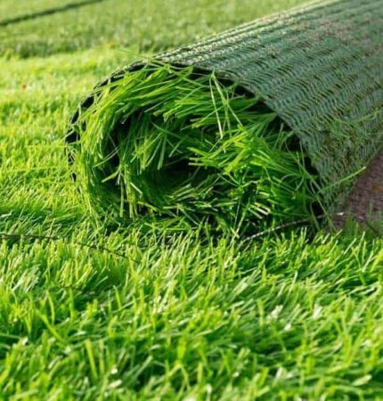 e252229dac740348962f46fc97e76805